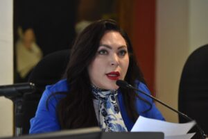 Debe CFE buscar soluciones que ayuden a bajar los consumos de energía en los hogares: Congreso