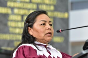 Propone diputada Palma Ontiveros Reforma Constitucional en Favor de los Derechos de los Pueblos Indígenas y Afromexicanos